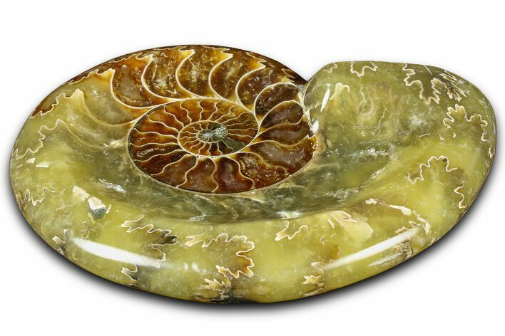 Polished Fossil Ammonite Dish - Madagascar #361372